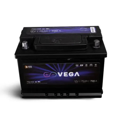 VEGA Standard