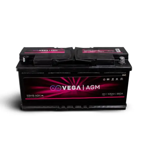 VEGA AGM