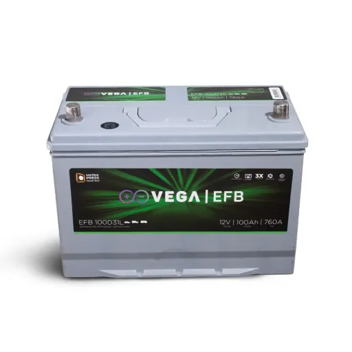 VEGA EFB